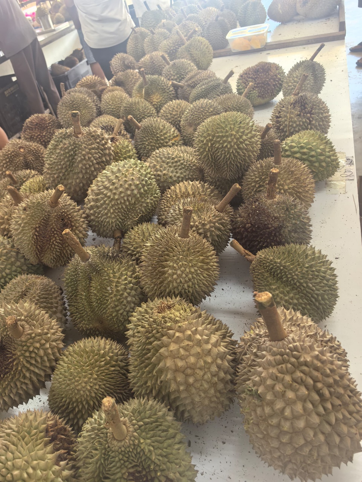 Durian Festival 2025